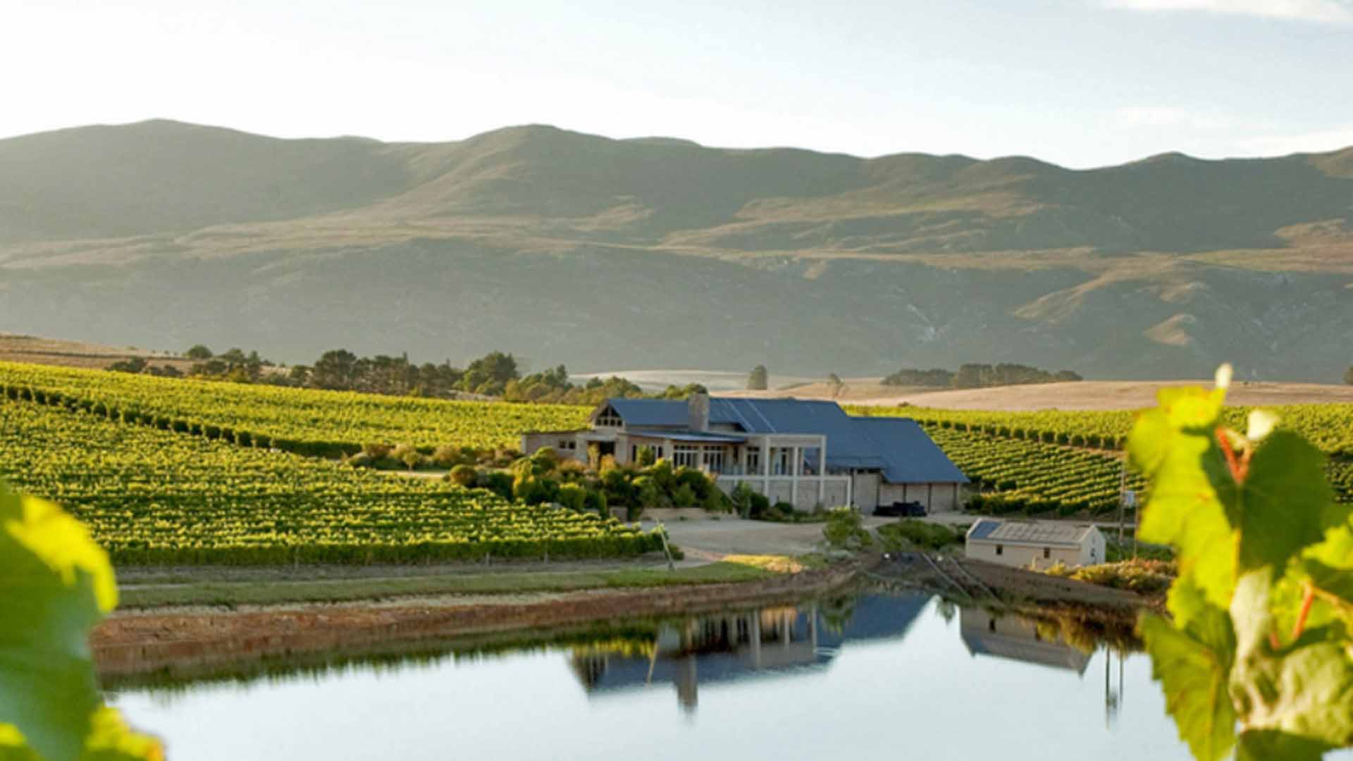 Creation Wine Farm Hemel en Aarde Valley: One of the best wine farms near hermanus